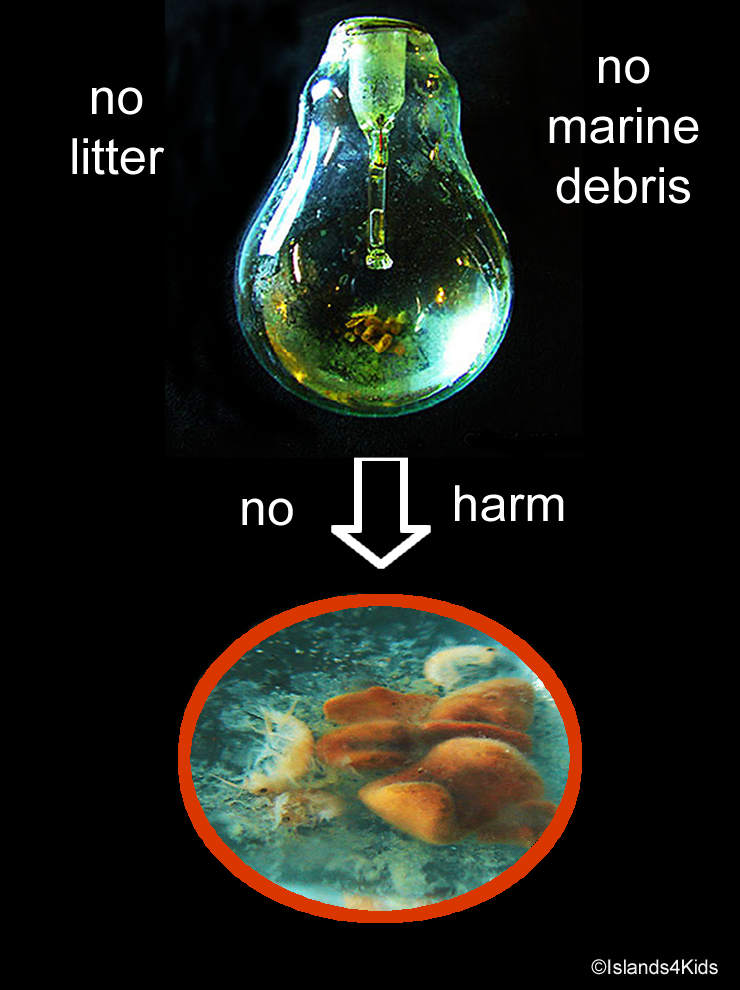 No litter means no marine debris, keeping oceans harm-free for marine creatures